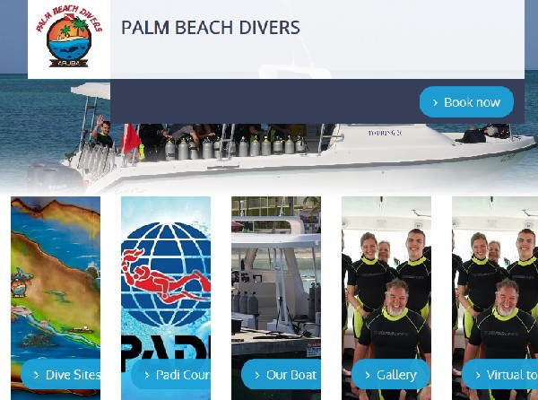 palmbeachdiversaruba.jpg